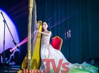 東莞演藝經(jīng)紀(jì)\交響樂(lè)團(tuán)\小提琴表演\手風(fēng)琴表演\豎琴表演